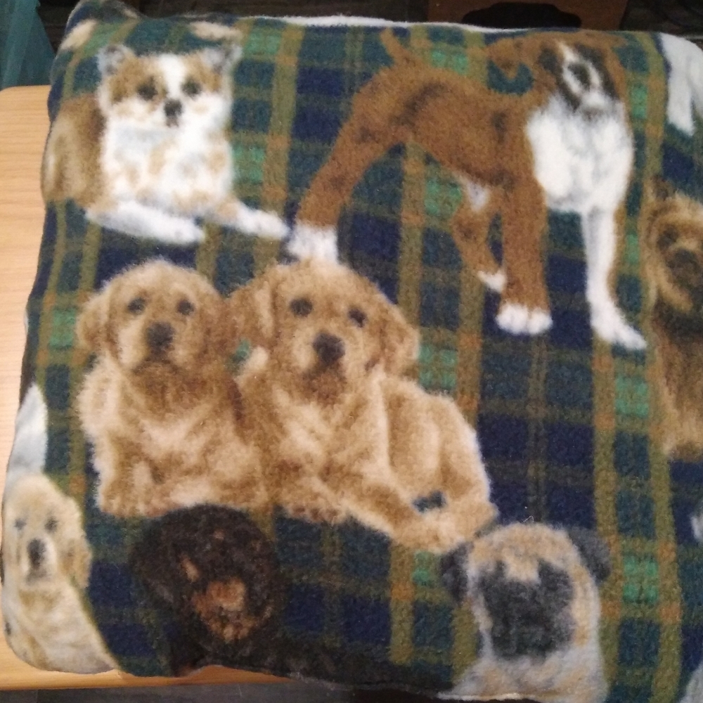 Pillow